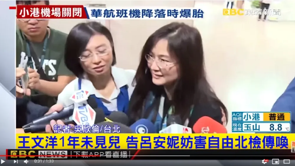 見不到寶貝兒子　王文洋控呂安妮妨害自由