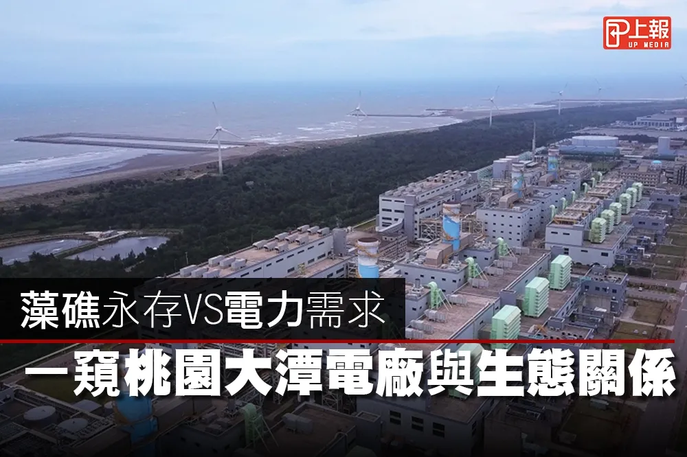 【空拍片】藻礁永存VS電力需求　一窺桃園大潭電廠與生態關係