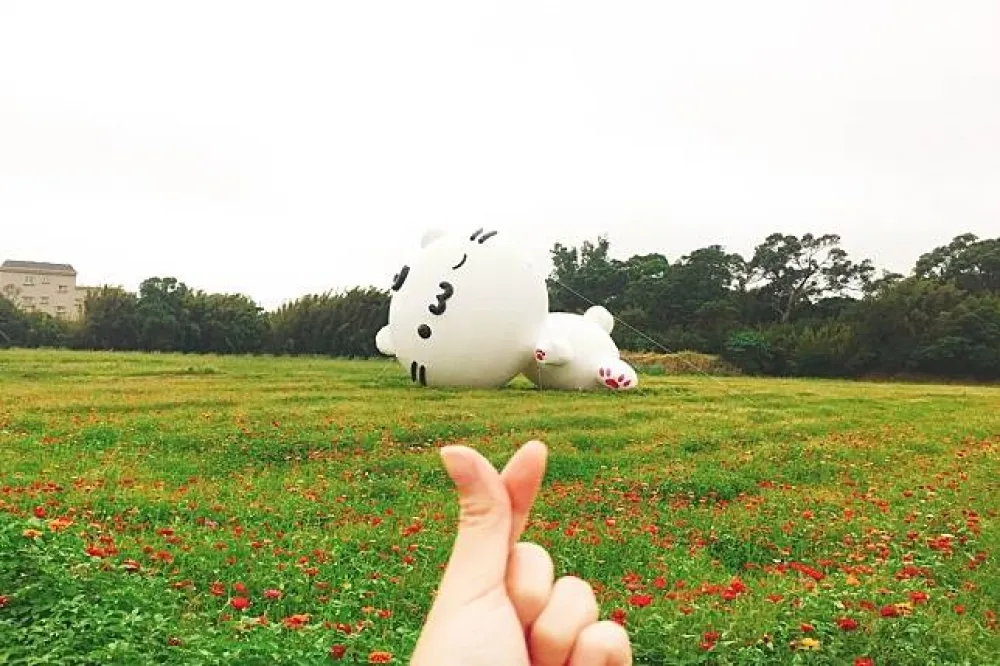 超療癒麻吉貓懶躺花海　桃園蘆竹中壢花彩節登場