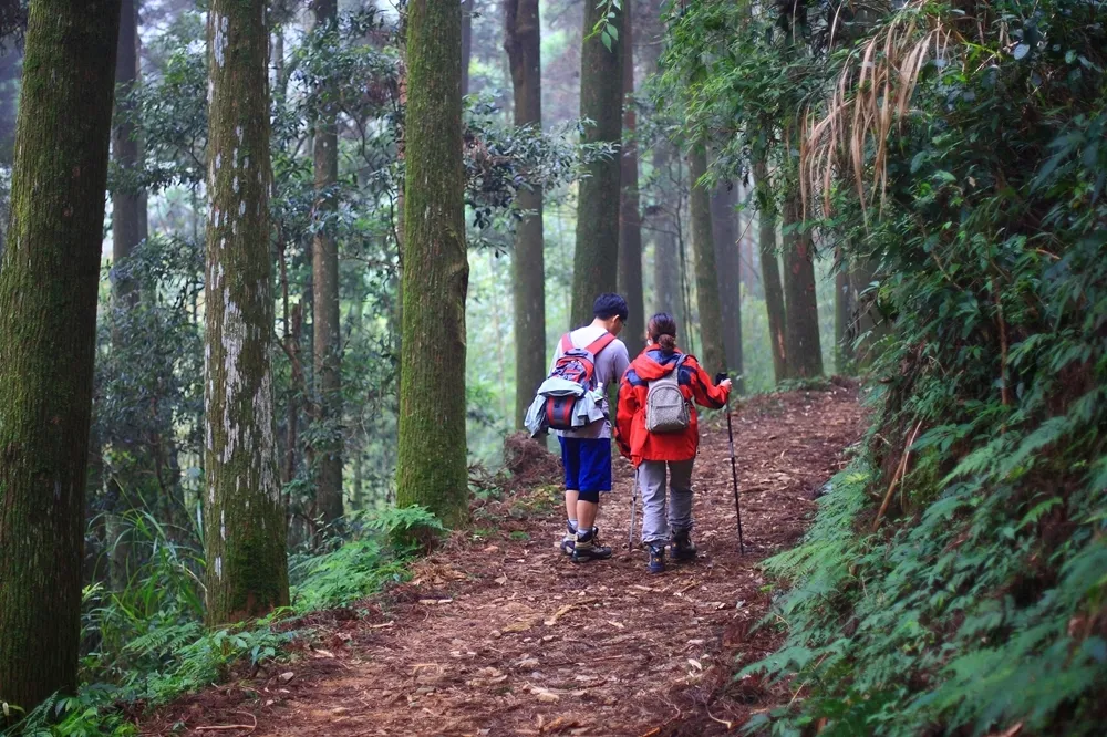 跟著插畫家遊「台南親山步道」　精選親子級、挑戰級登山步道推薦