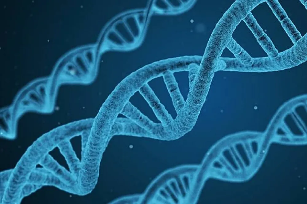如何「延壽」？　英國最新DNA研究提供新看法