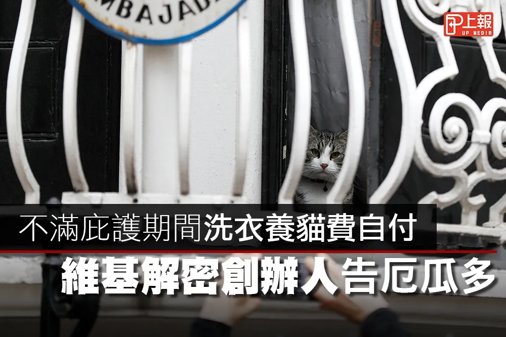 【影片】不滿庇護期間洗衣養貓費自付　維基解密創辦人告厄瓜多