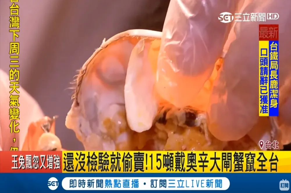 【毒蟹找到了】15噸「戴奧辛超標」大閘蟹　僅在宜蘭及新北攔下6噸　