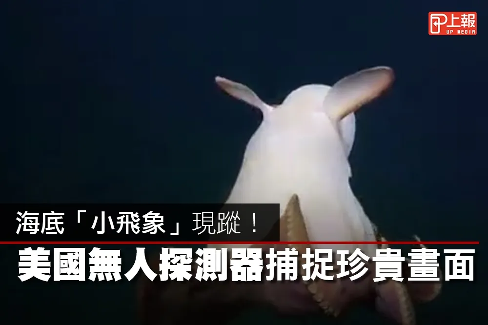 【影片】海底「小飛象」現蹤！　美國無人探測器捕捉珍貴畫面