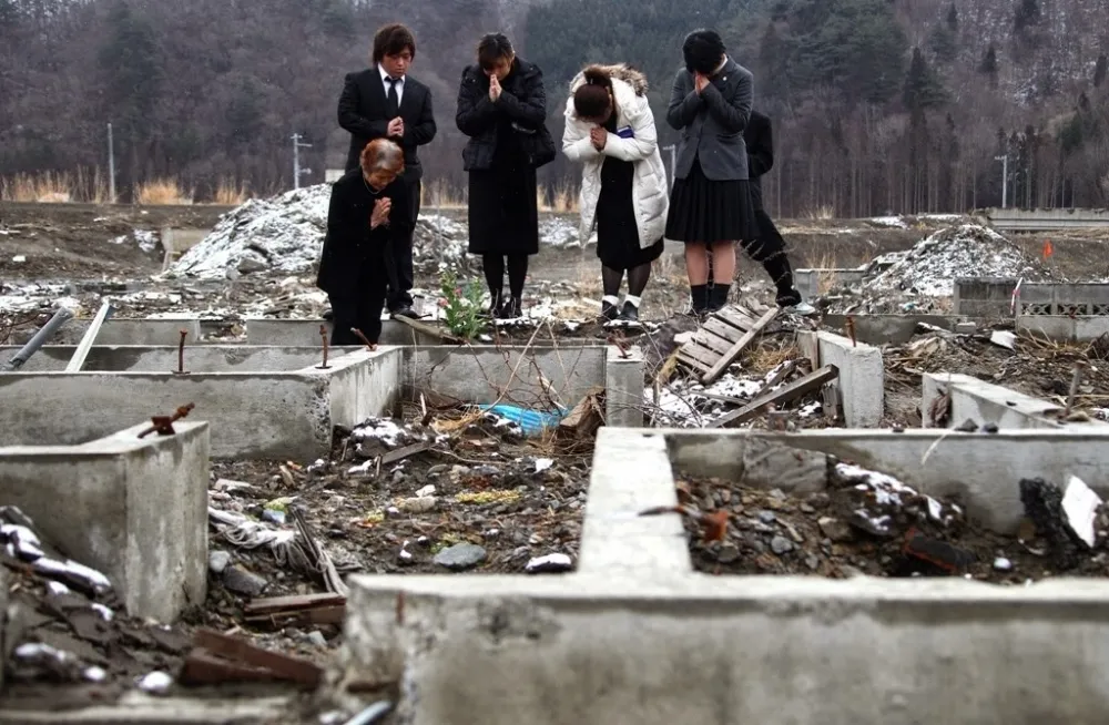 畸形蝶的啟示—死而後已的福島核災研究員