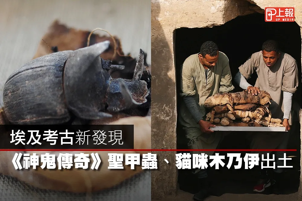 【影片】埃及考古新發現　《神鬼傳奇》聖甲蟲、貓咪木乃伊出土