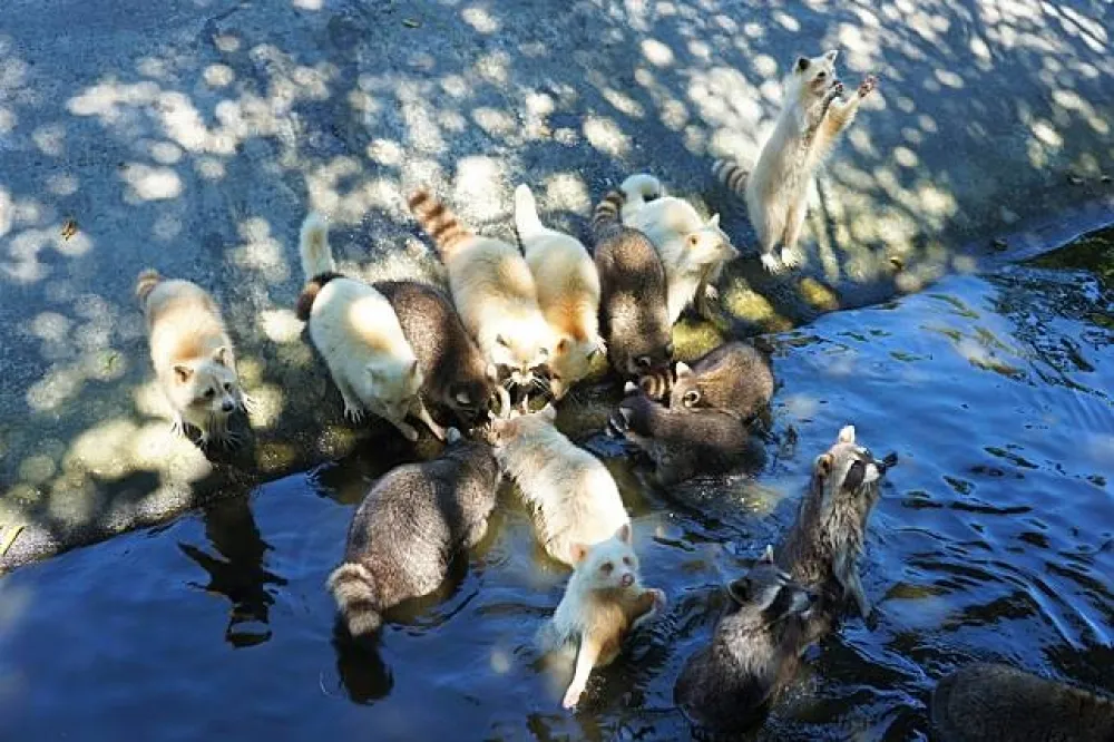 【景點直擊】花蓮鳳林鎮：動物生態、植物染布、走逛小鎮賞菸樓