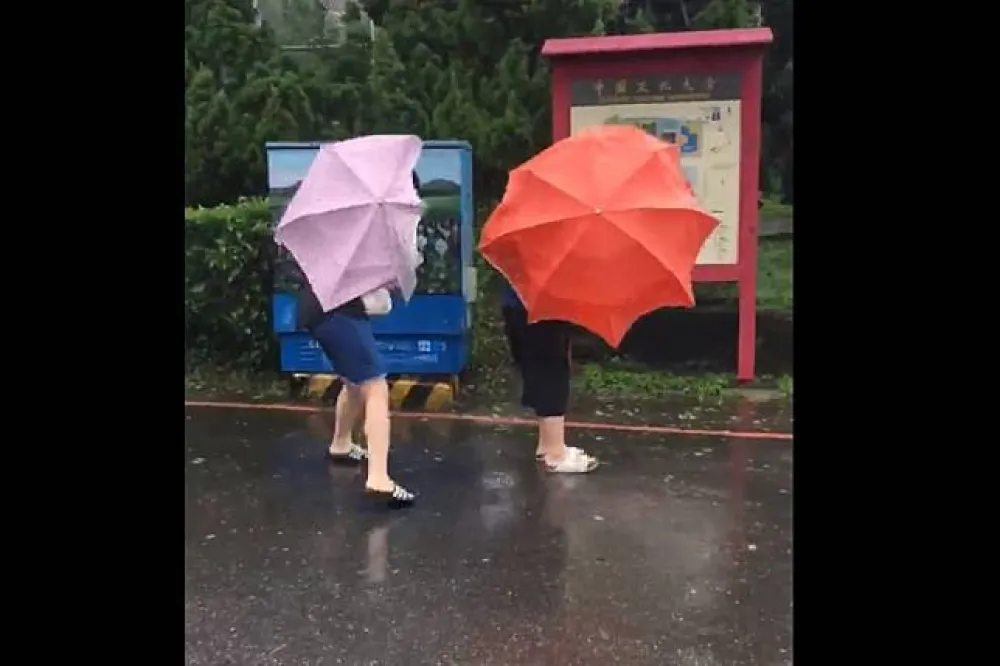 【影片】風雨狂掃文化大學　女學生大玩雨傘花肉搏狂風