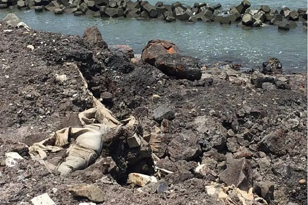 「最毒海岸線」禍源確定集塵灰　戴奧辛檢測值高達4470皮克