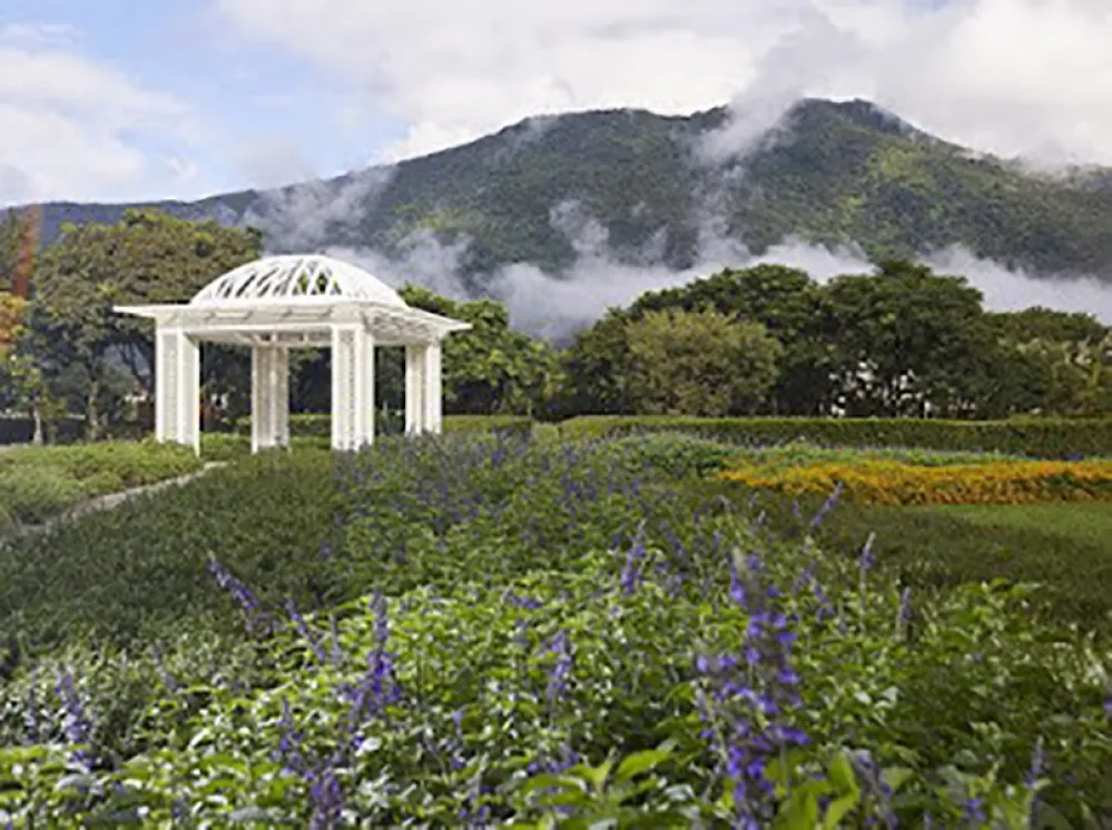 旅展開搶花蓮秧悅千禧香草七感療癒度假券