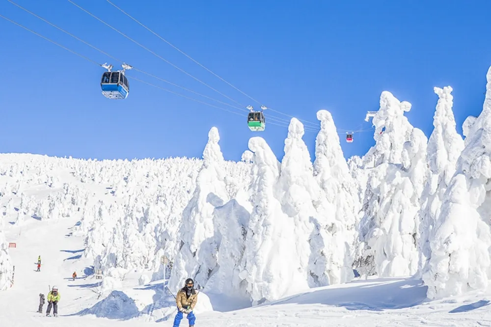 直奔日本粉雪天堂！6大滑雪場＋專業教練　讓初學者也愛上滑雪