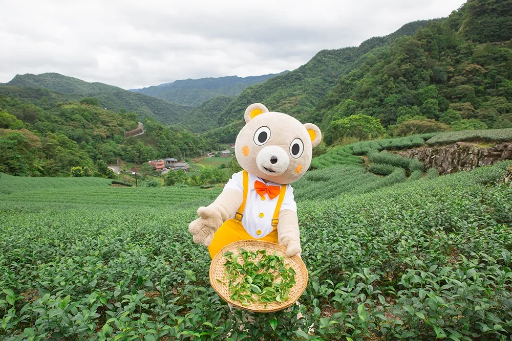 台灣茶鄉國際發光！新北市坪林區獲選 2018 全球百大綠色旅遊地