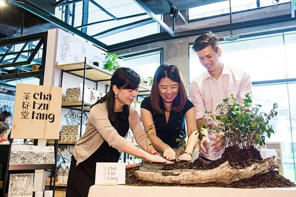 誠品生活expo四年培育有成　苦茶籽品牌「茶籽堂」今獨立設櫃