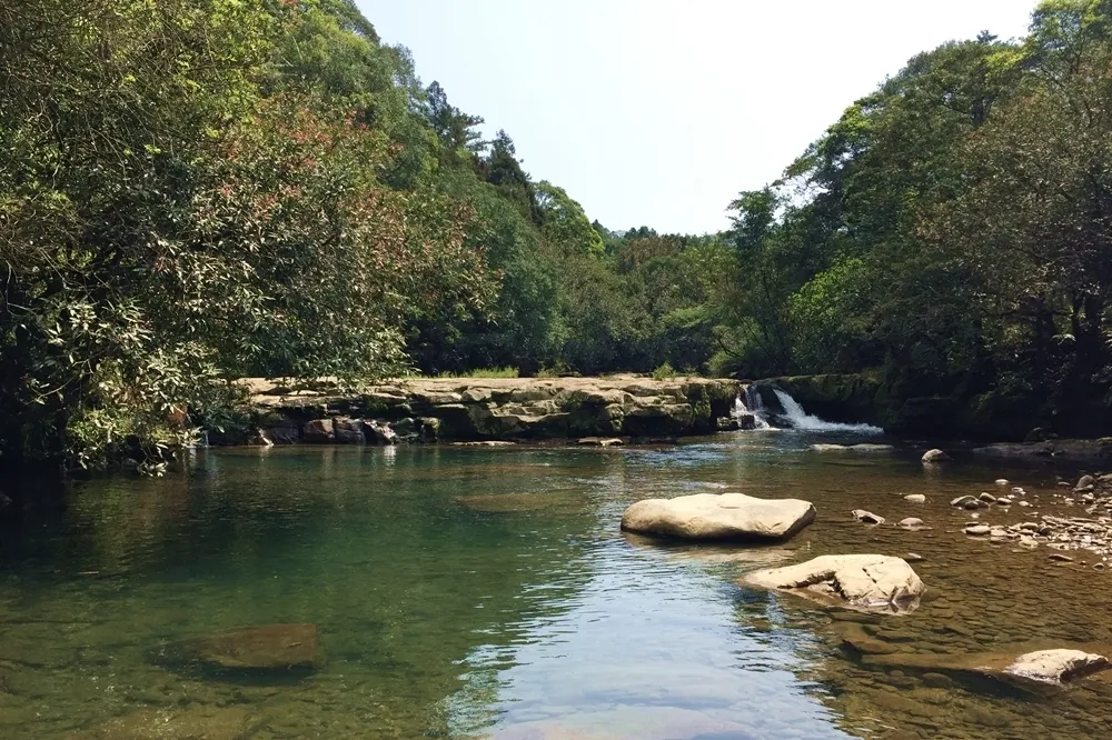 擴大觀光局暖冬旅遊方案　蔡英文：推動常態性國旅補助