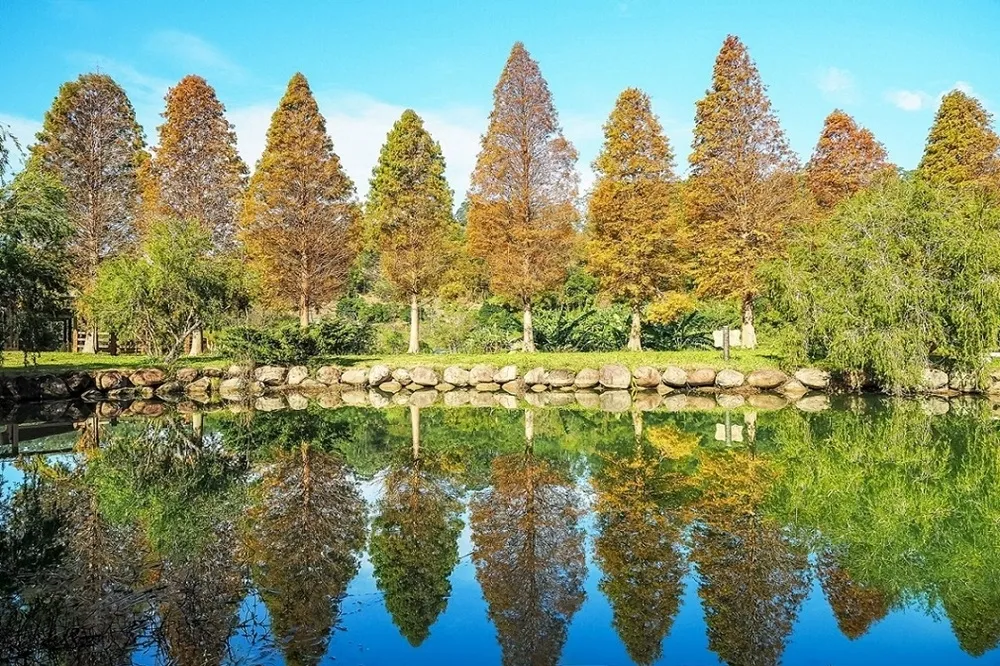 今年秋天就去這！6個擁有金黃秋景的必去地點　