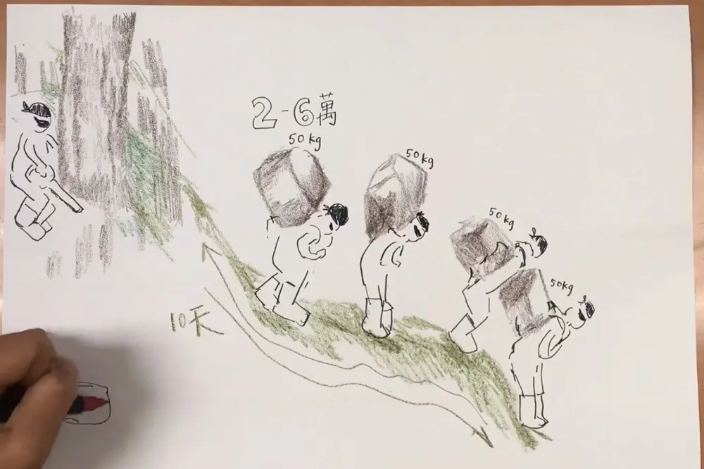 揭珍貴紅檜巨木群挨批「幫山老鼠報路」　林務局：公開才是更好的保護