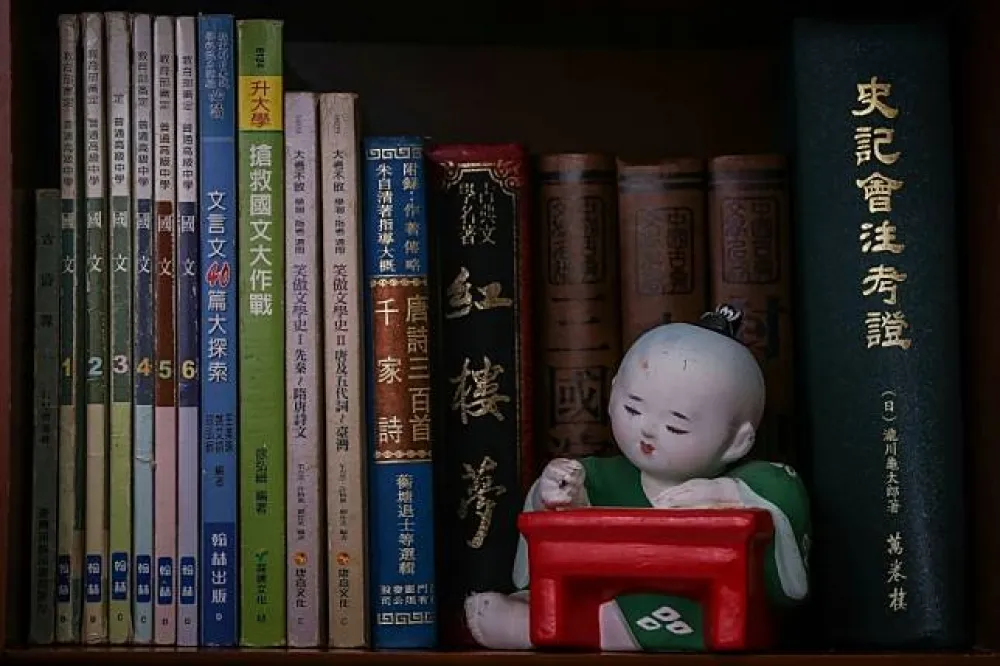 盧郁佳專欄：細數「文白之爭」的七個反改革理由