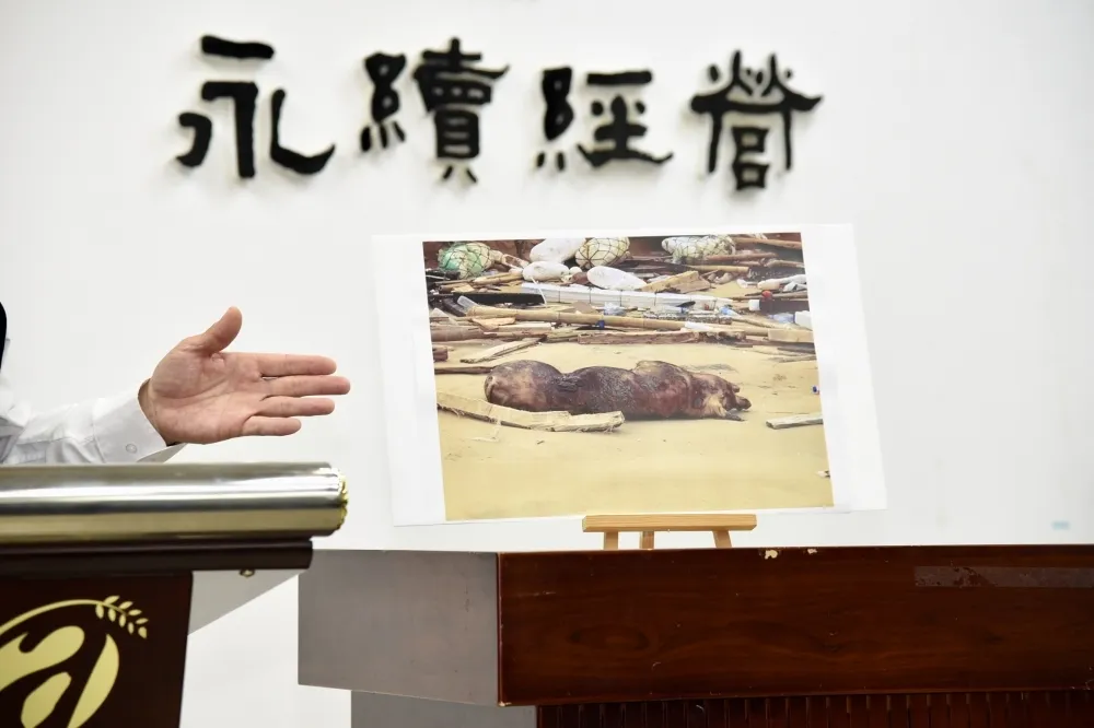 對抗非洲豬瘟　農委會：3月底廚餘養豬沒蒸煮設備開罰