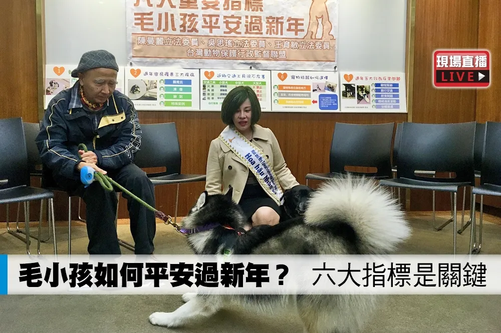 【直播】毛小孩如何平安過新年？　六大指標是關鍵