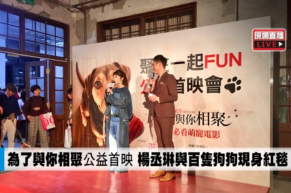 【直播】《為了與你相聚》公益首映　楊丞琳與百隻狗狗現身紅毯