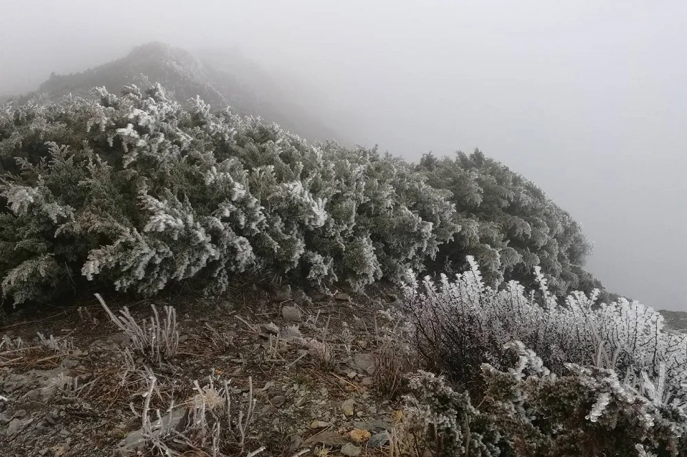 【今年的雪還沒下】受暖冬影響玉山僅結霜　仍未降雪