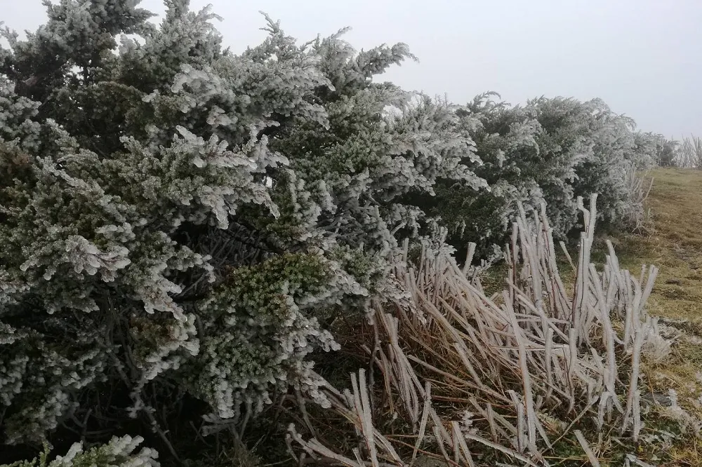破66年紀錄了　玉山仍不見初雪　