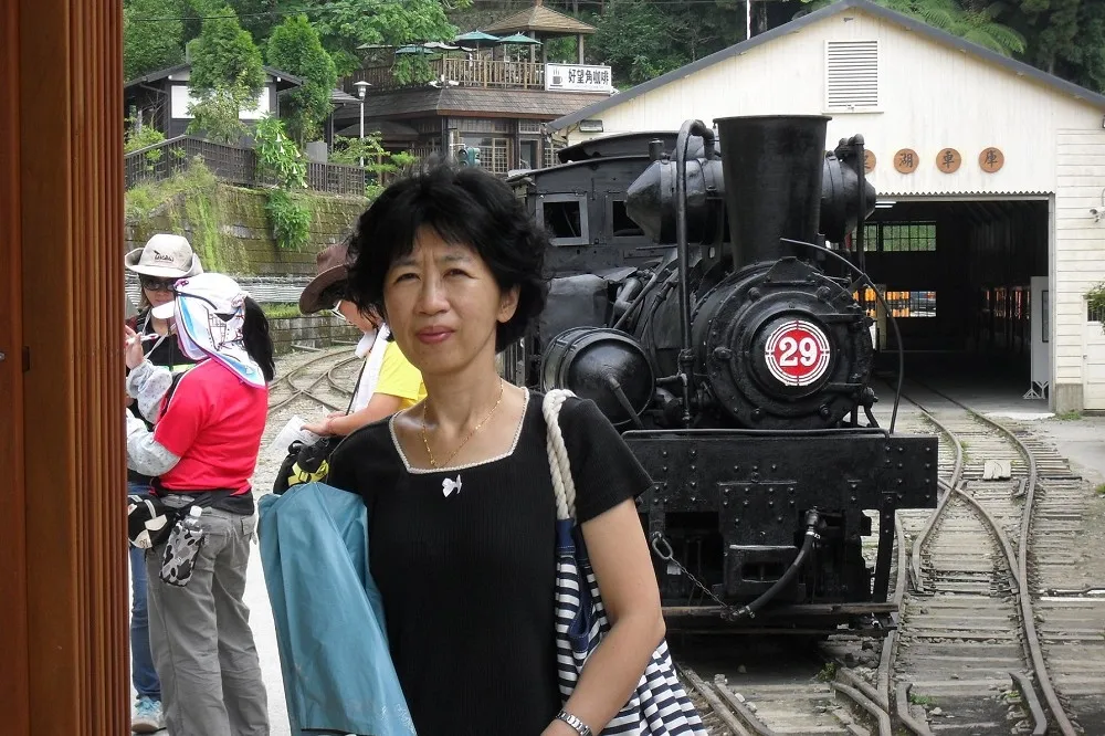 【政壇上也有虐兒事件…】陳佩琪諷綠營：整天只想消滅政敵強固政權