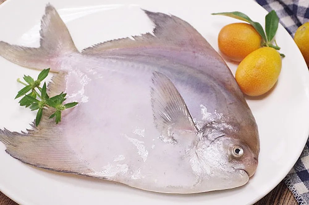 鯧魚的命名跟「娼」有關？過年必吃的鯧魚竟然只有排名好魚第三