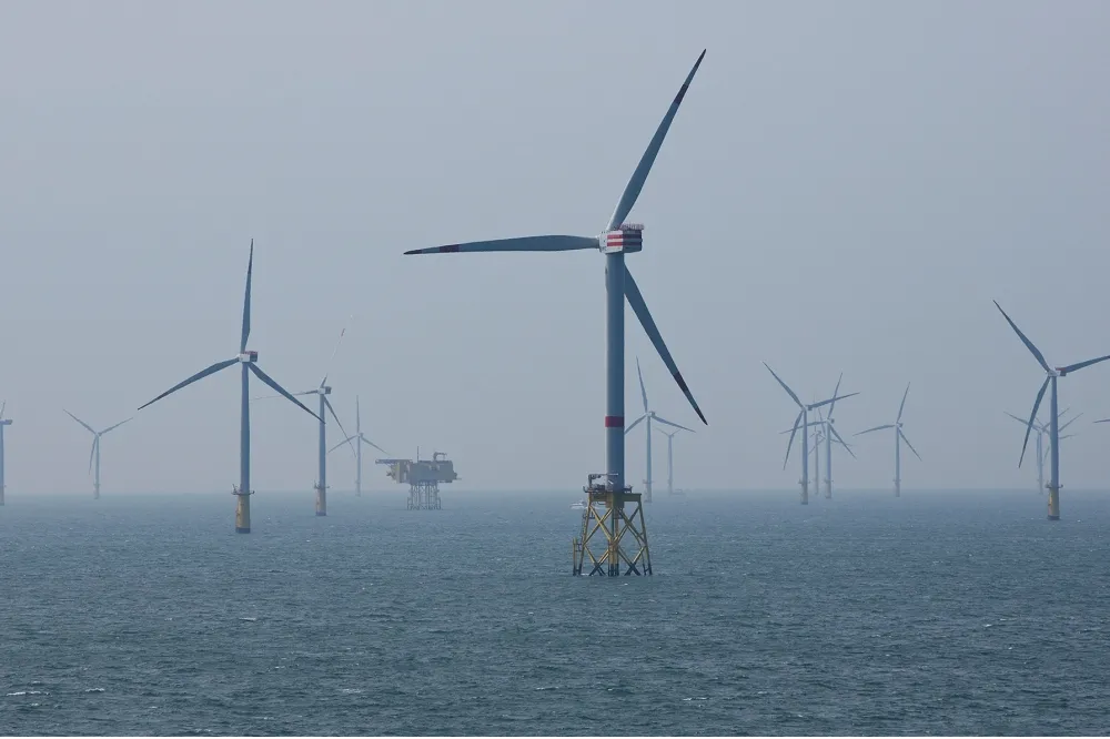 陳曼麗：離岸風機產業是海洋版的台積電