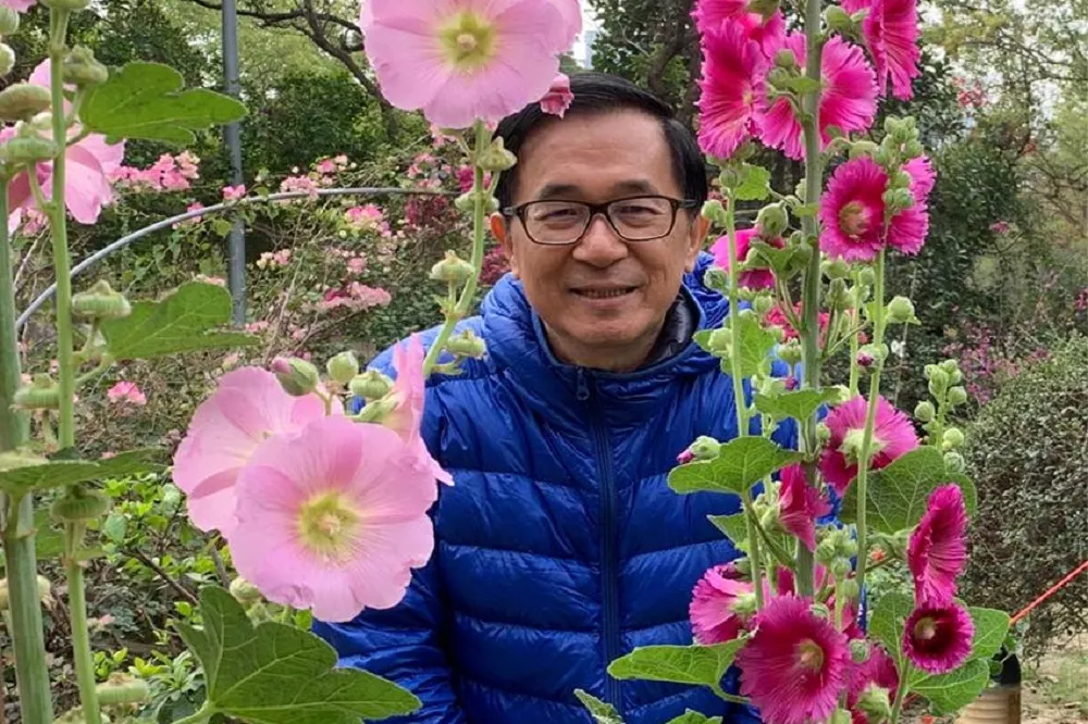 【為連任加分】蔡英文打過境紐約外交牌　扁批：去美國都是迷信