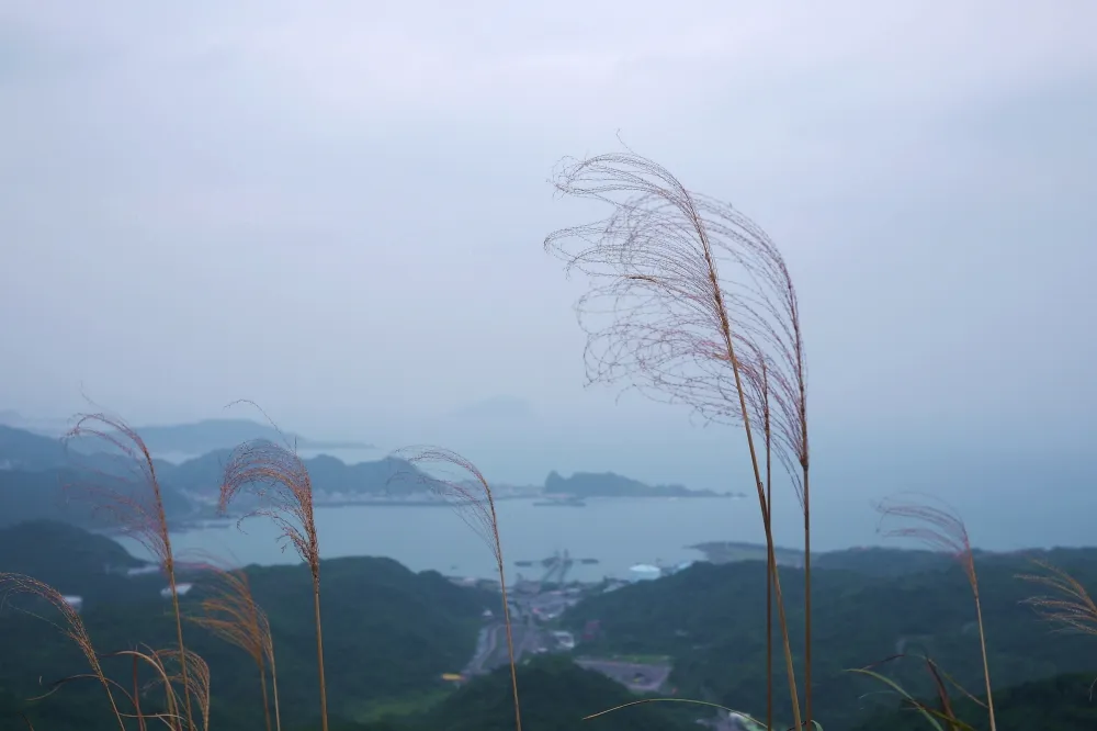 與海同行的綠意之徑&幽靜神秘的古蹟之途─淡蘭古道北段健行
