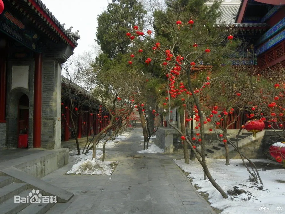 中國的靈魂　後毛澤東時代的宗教復興