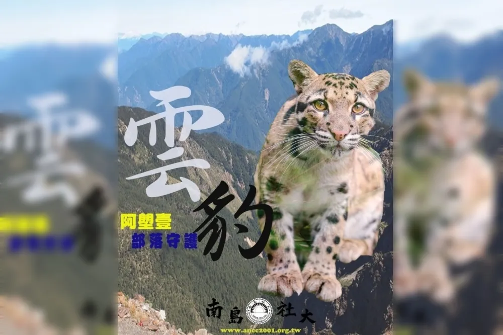 【專訪劉烱錫】台灣雲豹仍在山野穿梭　阿塱壹部落族人多次目擊