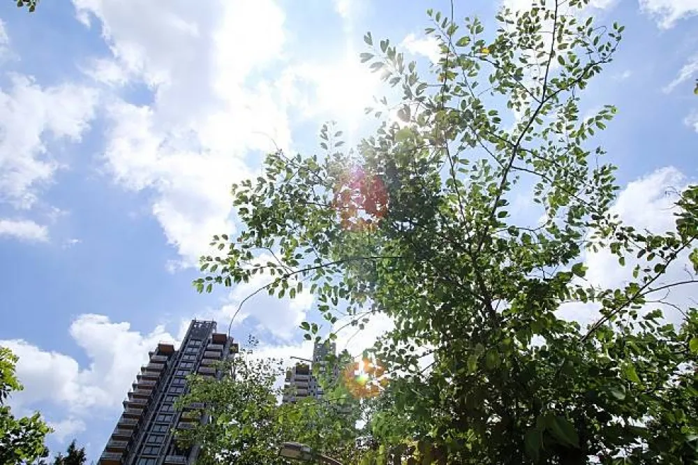 今年最高溫　「立秋」台北飆至38.3度