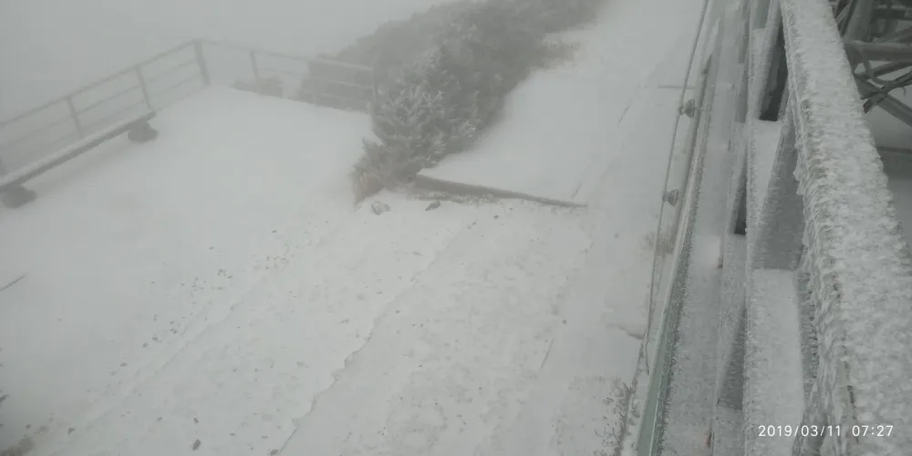 【雪停了】玉山又降雪　至上午近10時飄下3.5公分積雪