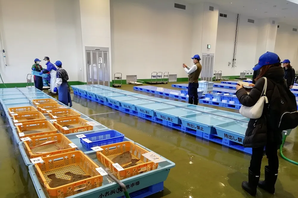 台灣人食品公投 福島人：殘念　再加油