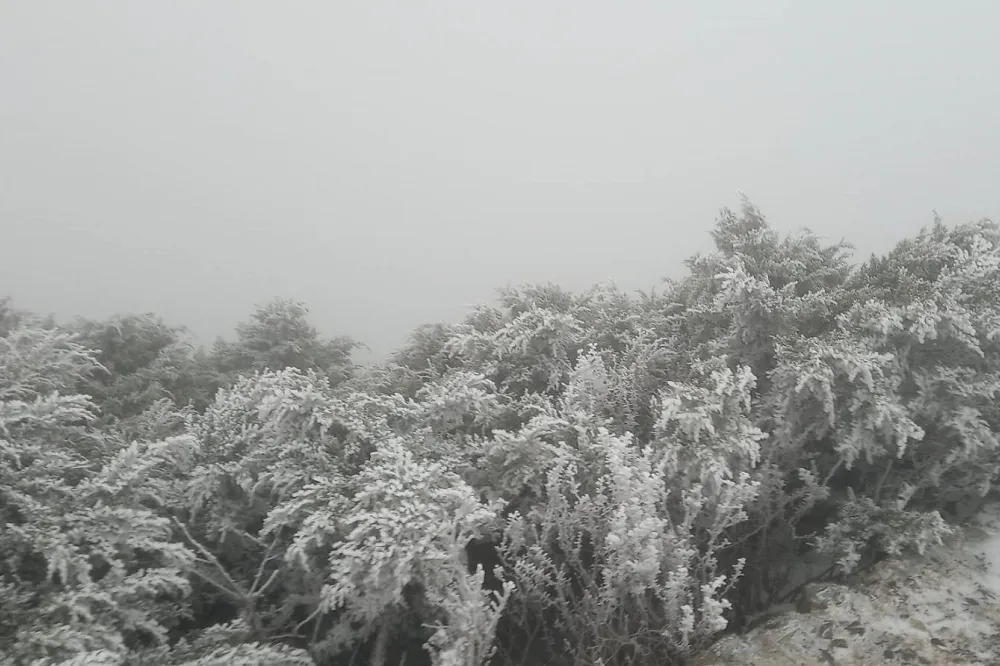 玉山最低溫零下4.2度　變身冰封雪景