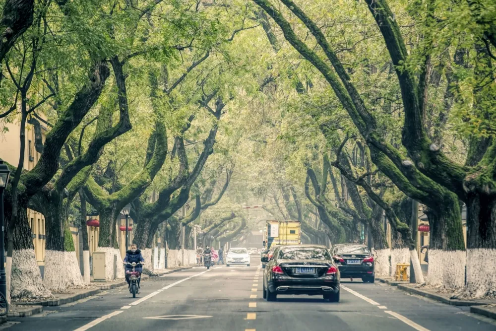 比日月潭更吸引人！與南京涵碧樓一起探索這座老城市