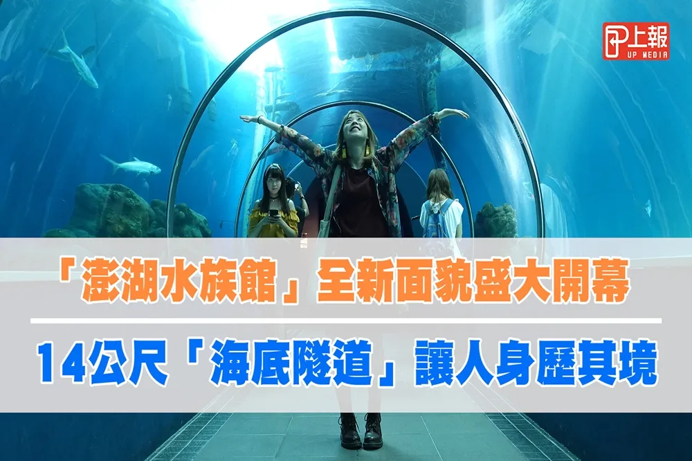 【影片】「澎湖水族館」全新面貌盛大開幕　14公尺「海底隧道」讓人身歷其境