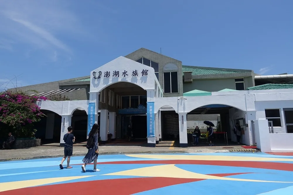 【有片】澎湖不是只有海鮮！窺探海洋文化的澎湖水族館全新開幕