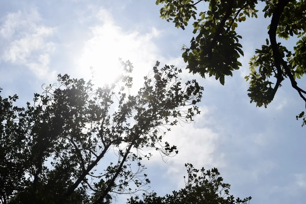 【外出帶把傘】午後當心雷陣雨　28日全台悶熱高溫上看32℃