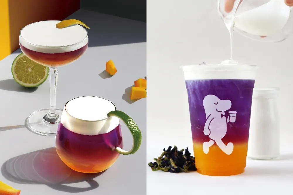 芒果與蝶豆花交織出火色漸層！cama café 澎湖限定「夏日芒果奶蓋」5/1 全台獨家上市 