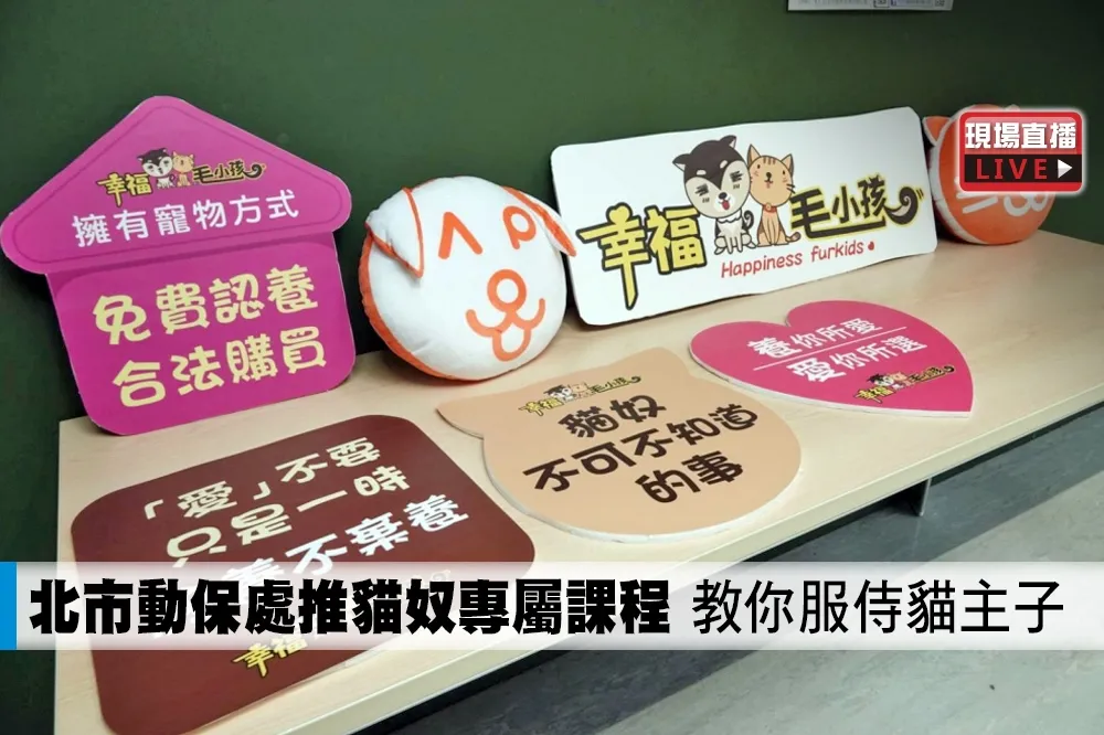 【直播】北市動保處推貓奴專屬課程　教你服侍貓主子