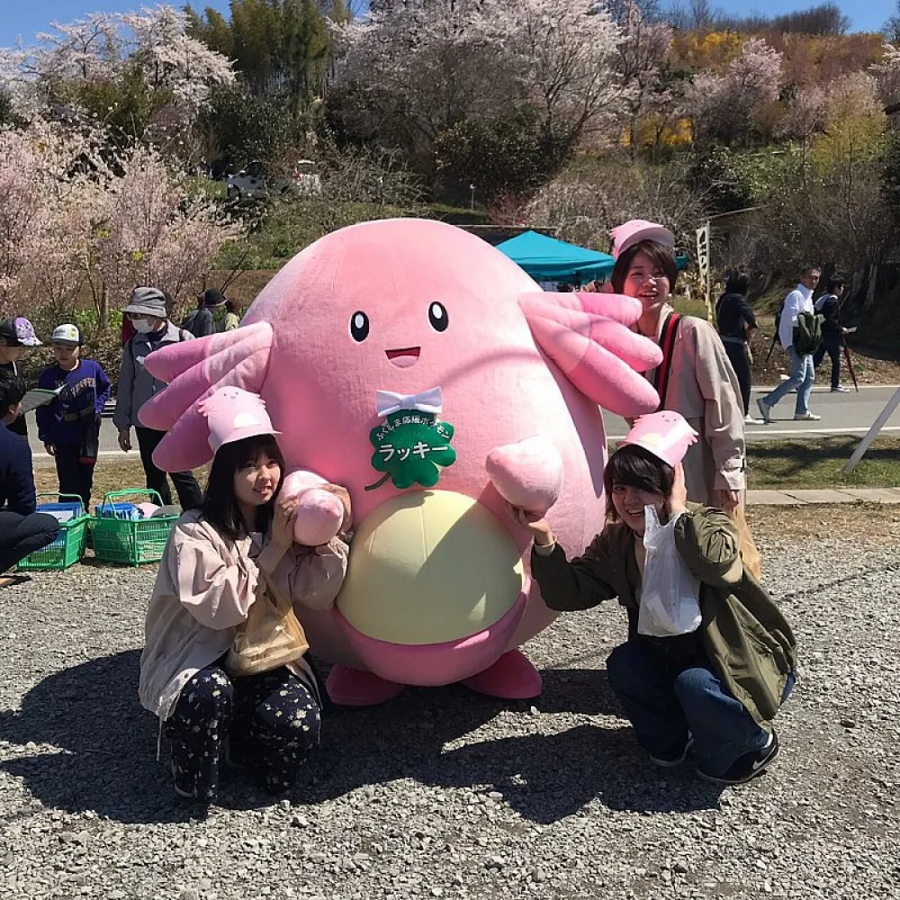 小拳石應援岩手縣　震後福島縣則由吉利蛋來療癒(▰˘◡˘▰)
