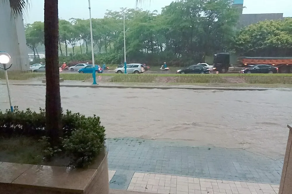 【雙北雨量破170毫米】淡水溪水暴漲「魚躍馬路」　北投小黃困地下道