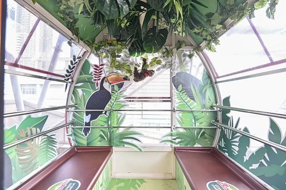 摩天輪首次大變身　八種主題車廂超好拍