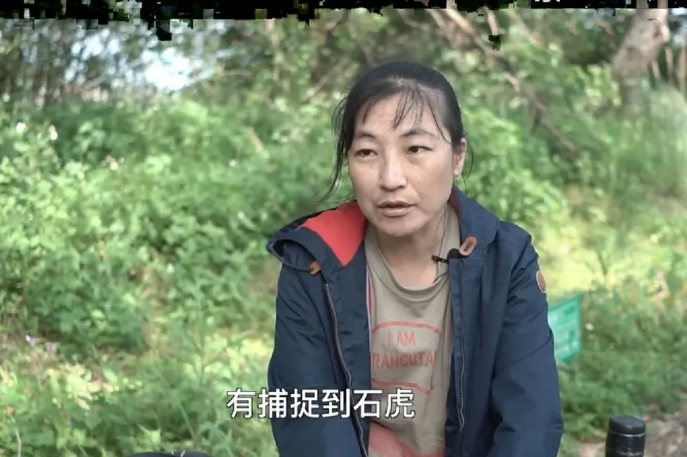 為研究遭虎頭蜂螫100針倖存　「石虎媽媽」陳美汀：我只是盡一個人的本份