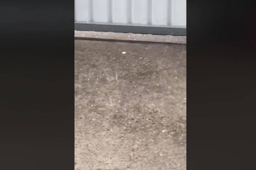 南投國姓鄉突落冰雹！　全台13縣市慎防大雷雨