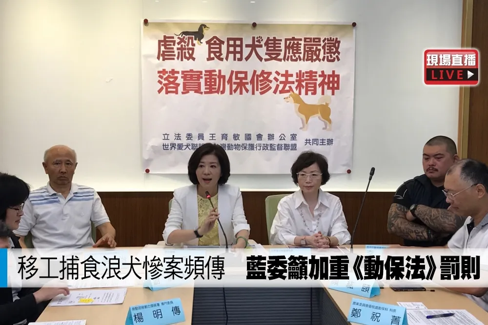 【直播】移工捕食浪犬慘案頻傳　藍委籲加重《動保法》罰則