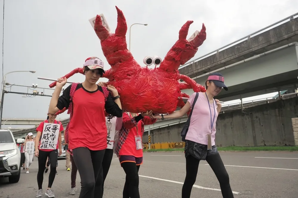 空服員背「大螃蟹」苦行27km　計花10小時抵凱道